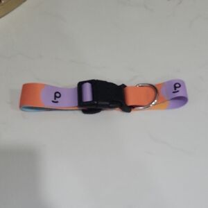 Colorful Pet Collar with Black Buckle